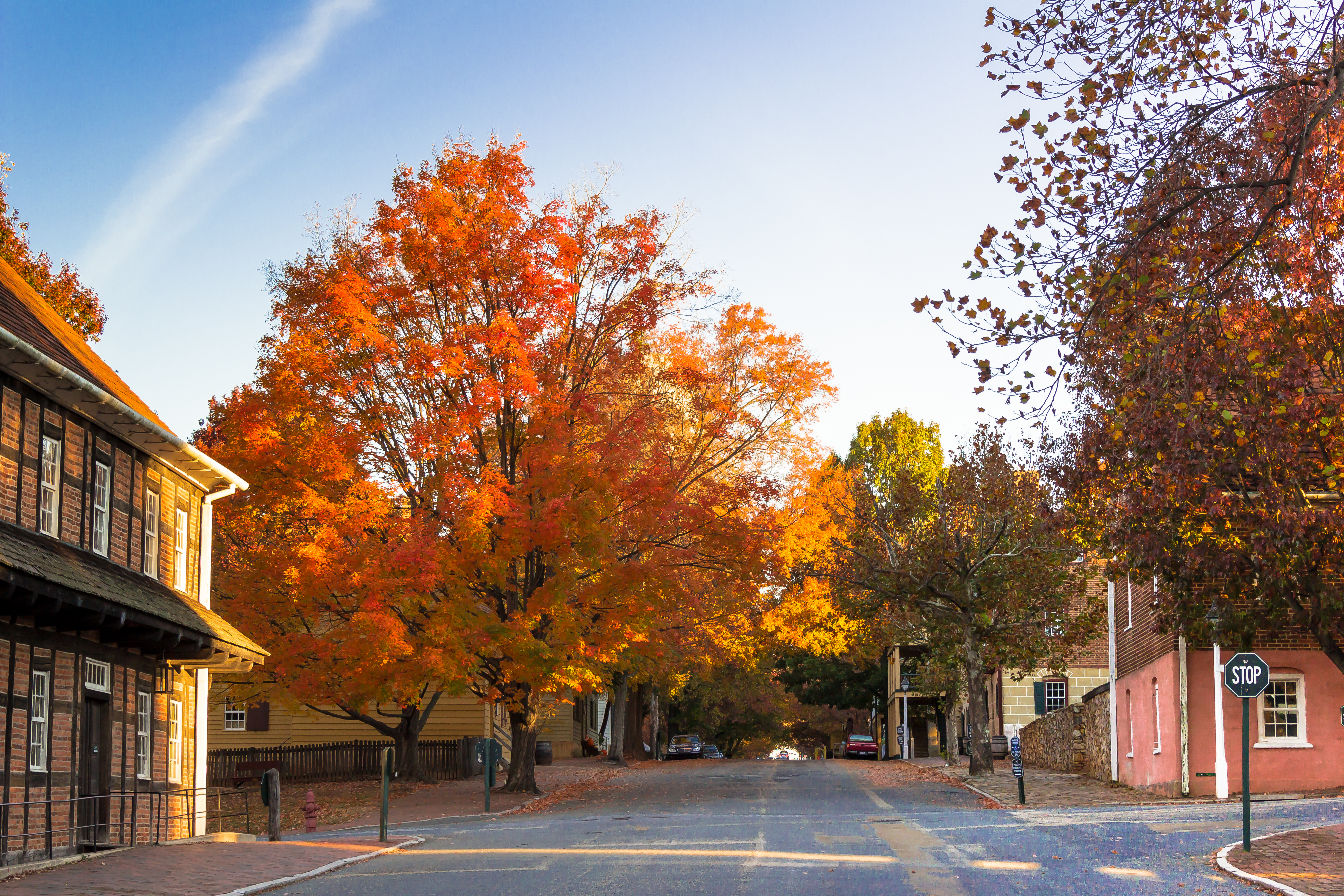 Finding Your Triad Property Management Dream Team: Beyond the Basics